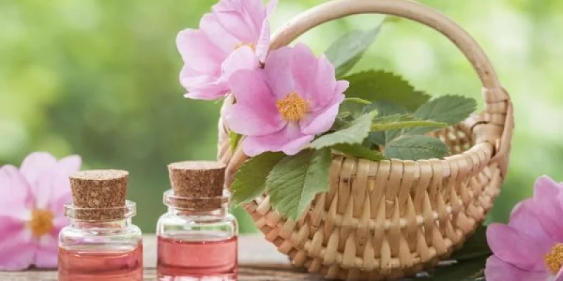 Huiles végétales cosmétiques et naturelles - Doctissimo