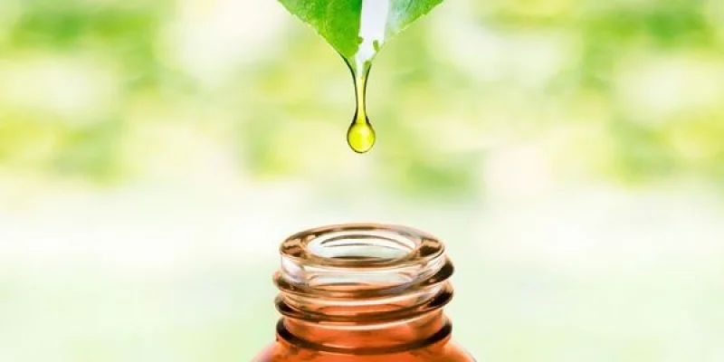 Phytothérapie - Tout savoir sur la Phytotherapie - Doctissimo