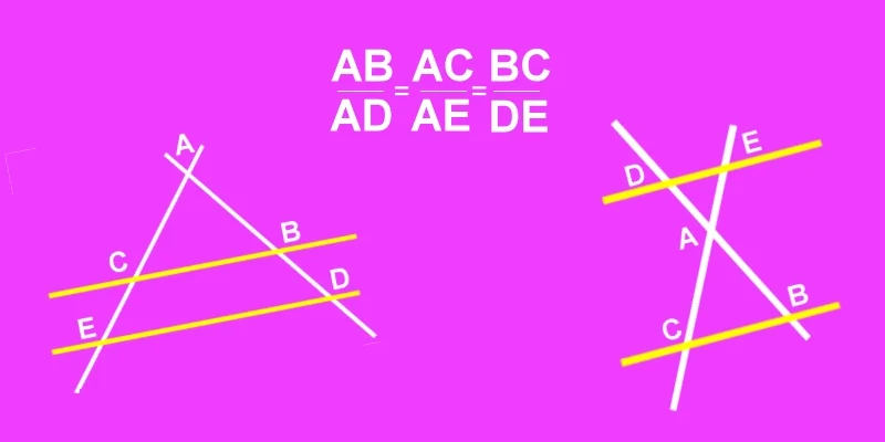 MATHS : Théorème de Thalès