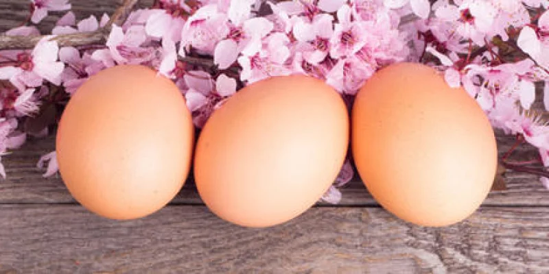 Mes petits secrets beauté : l'Åuf