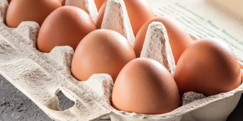 Rappel de produit : des Åufs vendus chez Auchan contaminés aux salmonelles