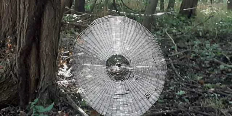 Un randonneur tombe sur une impressionnante toile d'araignée dans le Missouri
