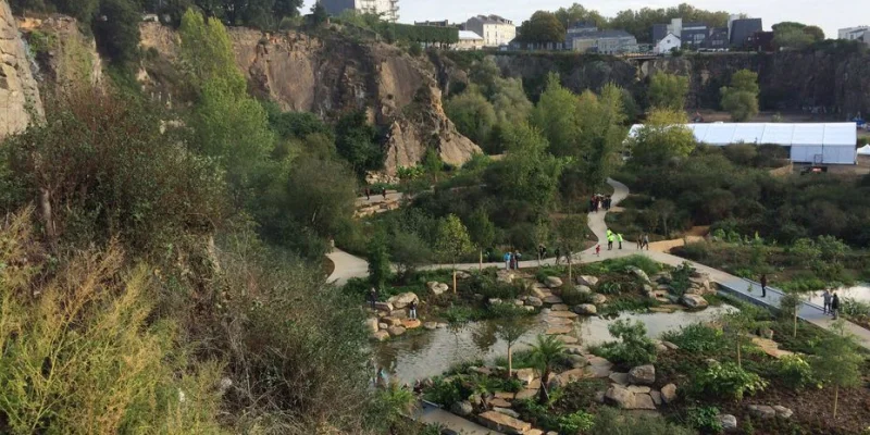 Nantes : riverains et collectifs disent non à l'arbre aux hérons