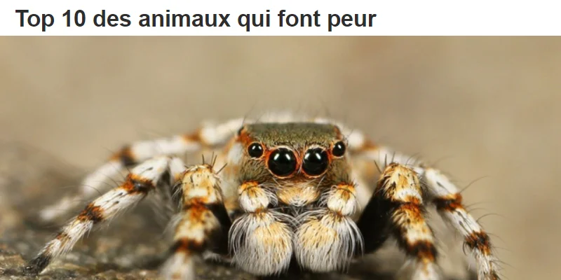 Moi, ce qui me fait peur, c'est le journaliste