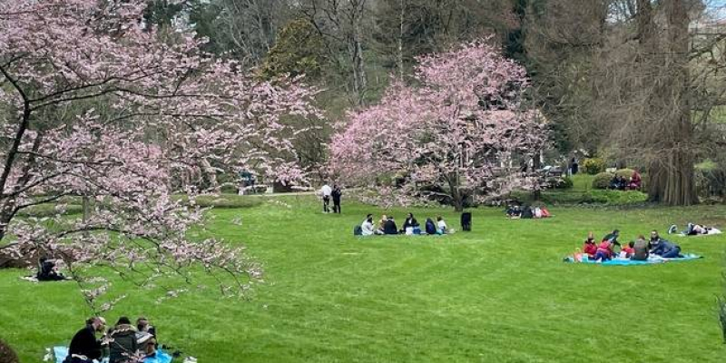 Près de 2.000 visiteurs pour la réouverture du parc oriental de Maulévrier