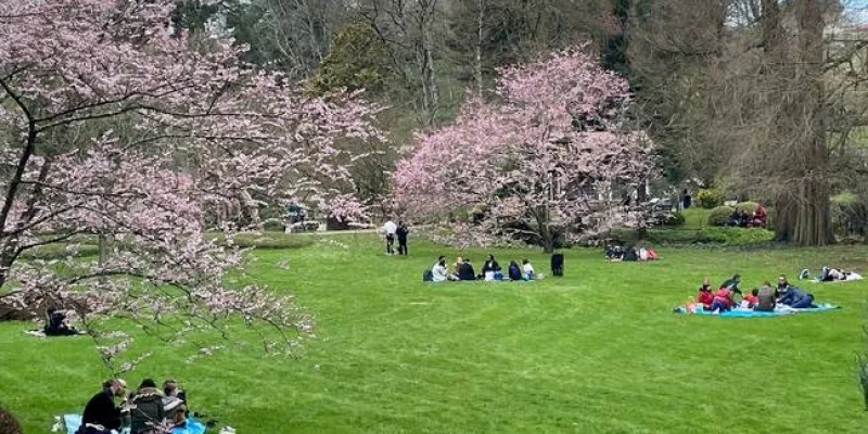 Près de 2.000 visiteurs pour la réouverture du parc oriental de Maulévrier