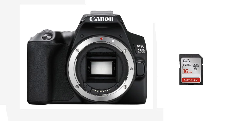 CANON EOS 250D Cholet