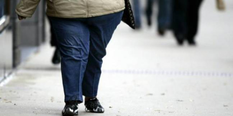 Une agence japonaise propose de « louer » une personne grosse ou obèse