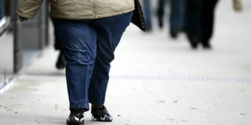Une agence japonaise propose de « louer » une personne grosse ou obèse