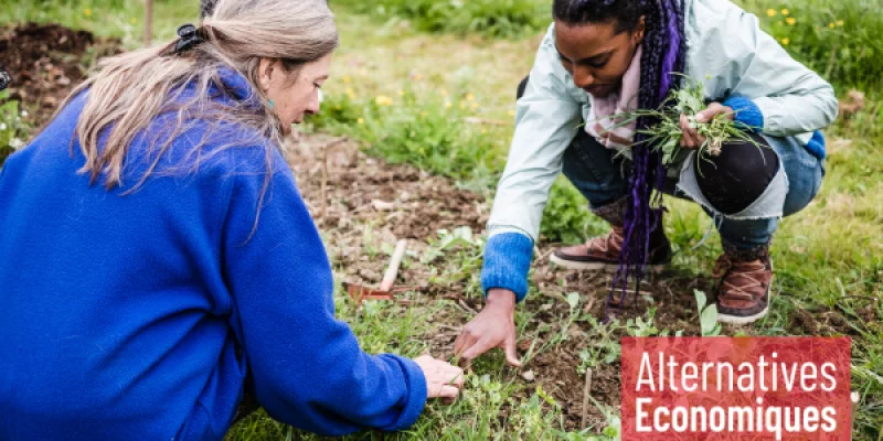 Wwoofing et droit du travail : un terrain en friche