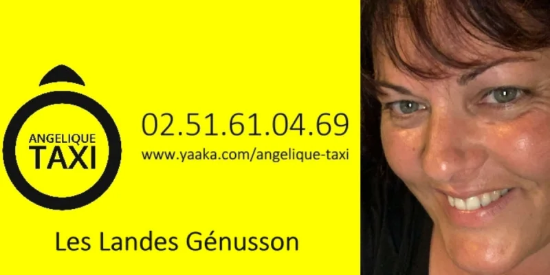 Angélique Brin, Angélique Taxi