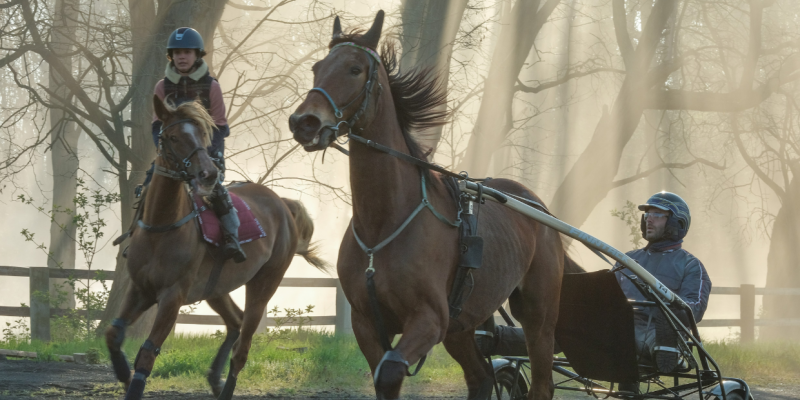 Christian Duguay de retour sur l’hippodrome après Jappeloup pour Tempête !