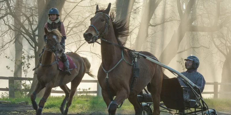 Christian Duguay de retour sur l'hippodrome après Jappeloup pour Tempête !