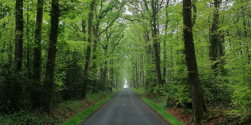 Chanteloup-les-Bois