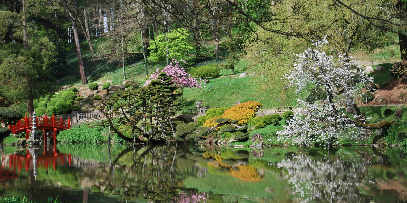 Parc Oriental de Maulévrier