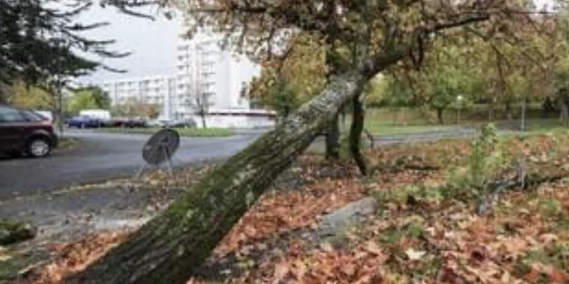 Tempête Ciaran à Cholet et les plus belles photos de l'Ouest