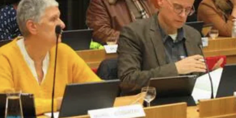 Cholet. « Sans ces propos outranciers, personne n'aurait à convoquer le maire en justice »