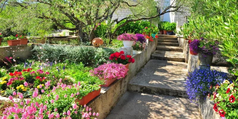 En plus d'être résistantes, ces plantes solaires égayeront votre jardin