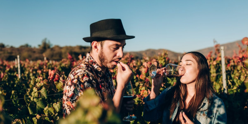 Huit astuces pour déceler les vignerons de demain avant tout le monde