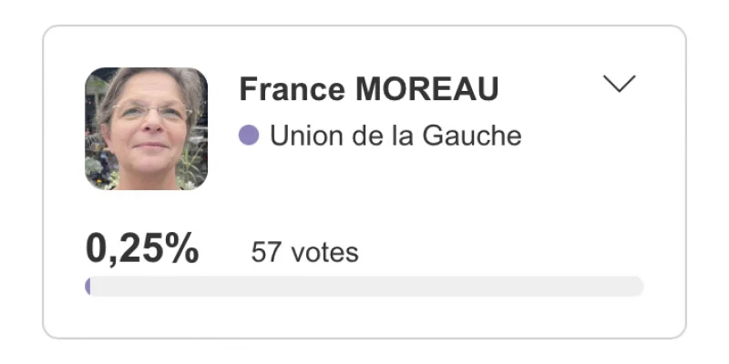 Cholet législatives 7 juillet 2024 : Dénis Masseglia l'emporte largement devant Gilles Bourdouleix