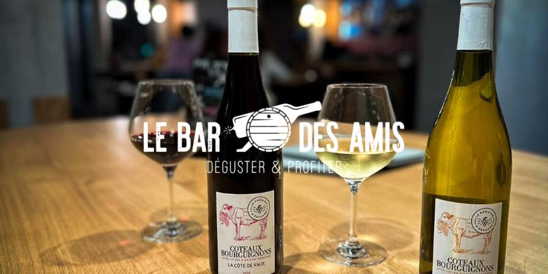 Bar à vin Cholet, Le Bar des amis, vins de petits producteurs locaux ou grands crus classés