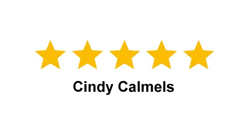 Cindy Calmels : Vraiment très professionnel, passionné et passionnant.