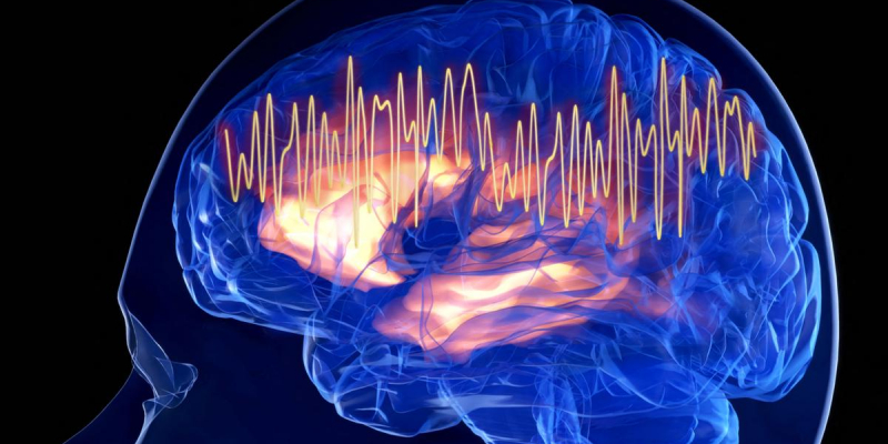 La pensée humaine est infiniment moins rapide que la perception sensorielle