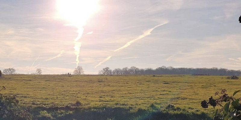 Une centrale photovoltaïque va être installée à La Séguinière