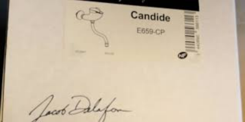 Robinet Jacob Delafon à Cholet