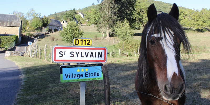 4 mai : c’est la Saint Sylvain et c'est bien 😉