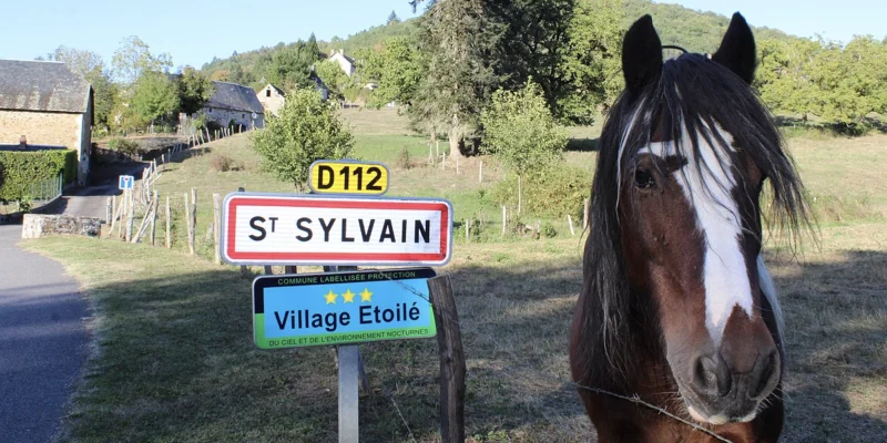 4 mai : c’est la Saint Sylvain et c'est bien 😉