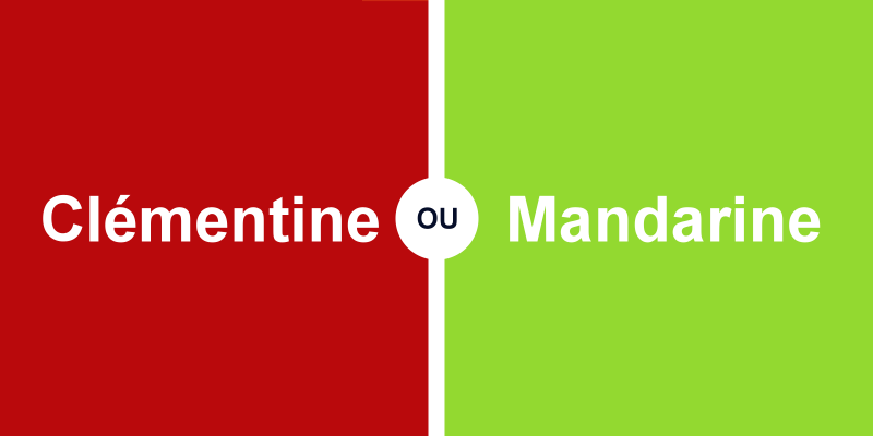 Clémentine ou mandarine, quelle différence entre ces deux agrumes ?