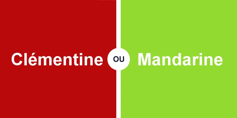 Clémentine ou mandarine, quelle différence entre ces deux agrumes ?