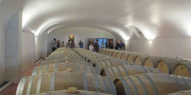 Cléré sur Layon : Le domaine du Petit-Clocher s'ouvre au public