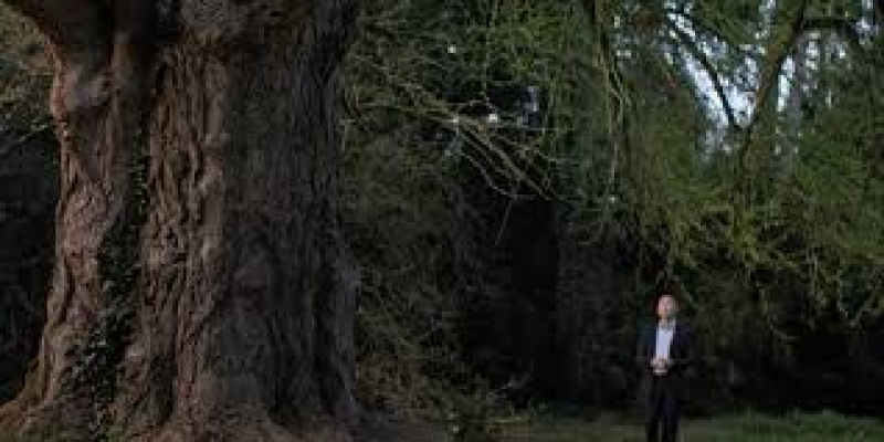 Découvrez le Palmarès de la 16e édition du Festival International du Film de La Roche-sur-Yon !