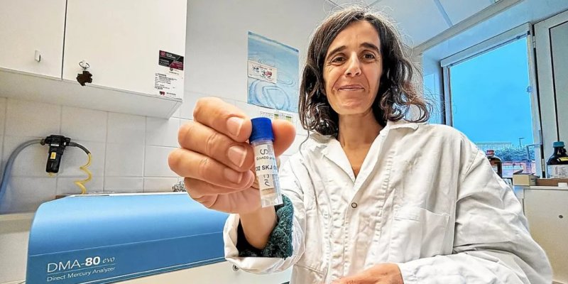 Des scientifiques de Brest prouvent que le niveau de mercure dans les thons consommés n’est pas si élevé