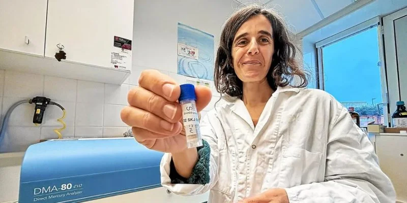 Des scientifiques de Brest prouvent que le niveau de mercure dans les thons consommés n’est pas si élevé