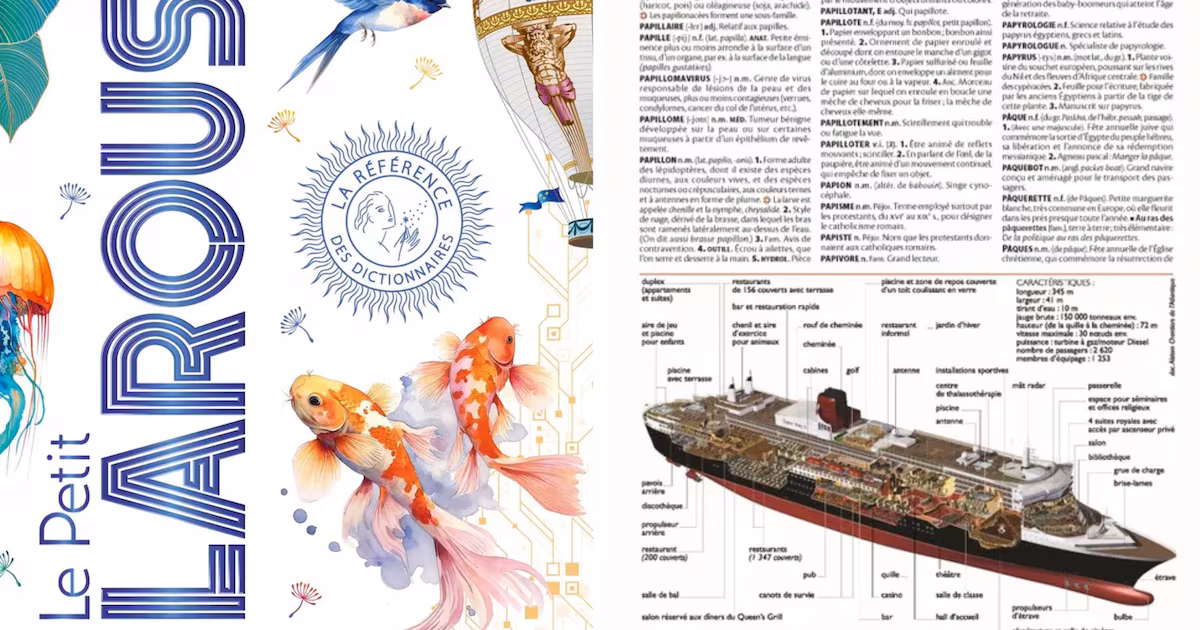 EXCLUSIF : Quels sont les nouveaux mots du Larousse 2027 ?