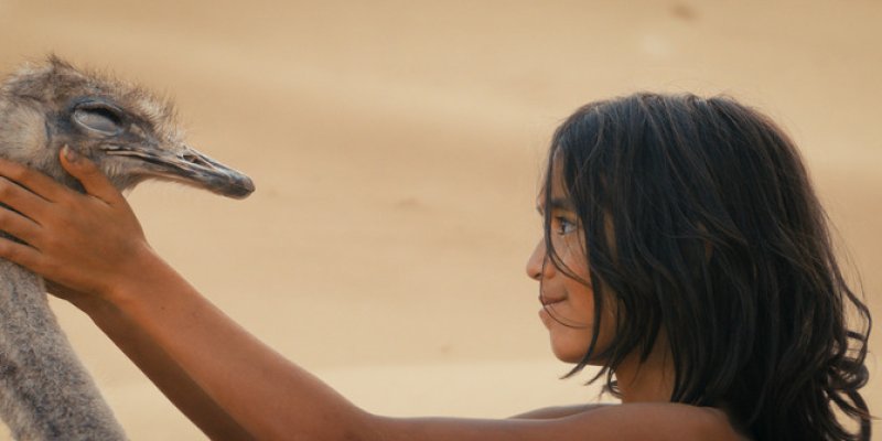 L'enfant du Désert de Gilles de Maistre, comment un enfant survit seul dans le désert ? Interview du réalisateur !