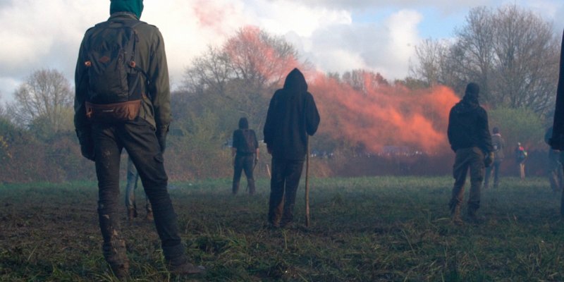 La Faune et la Flore de la ZAD de Notre-Dame-des-Landes dans le documentaire Forêt Rouge de Laurie Lassalle !