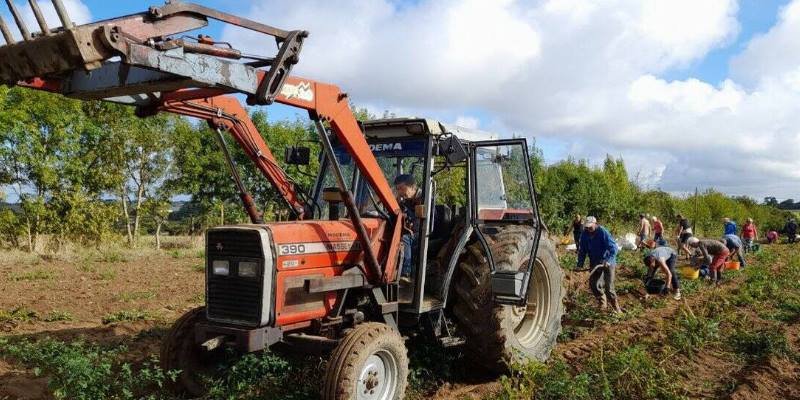La Séguinière. Des pommes de terre solidaires du Burkina Faso | Courrier de l'Ouest