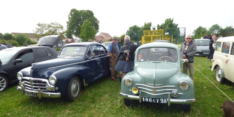 Les paquerettes en ancienne à Cherré-au (72) pour les passionnés d’automobile