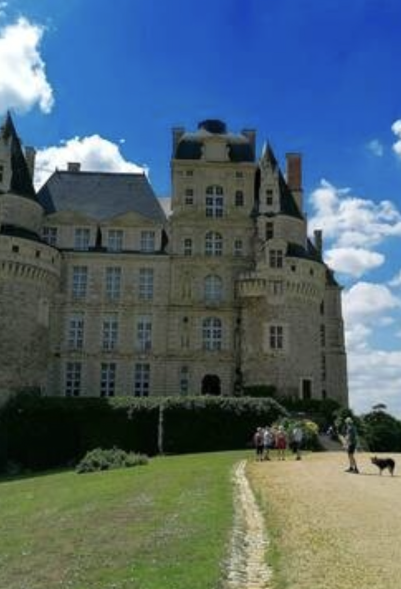 « 50 000 chocolats dans les jardins du parc » : ce château de Maine-et-Loire organise une chasse aux œufs géante