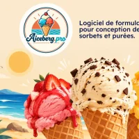 A.ICEBERG-PRO : logiciel de formulation et d’équilibrage pour recettes de crèmes glacées, sorbets et purées