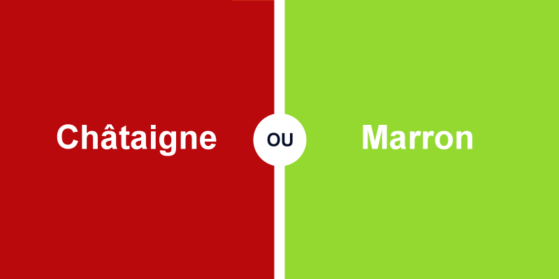 Quelle différence entre châtaigne et marron ?