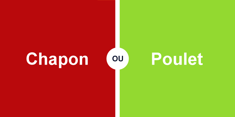 Quelle différence entre le poulet et le chapon ?