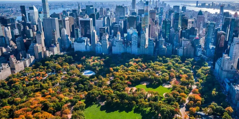 Quiz : Culture générale Vol.1 par MMMMAYZY