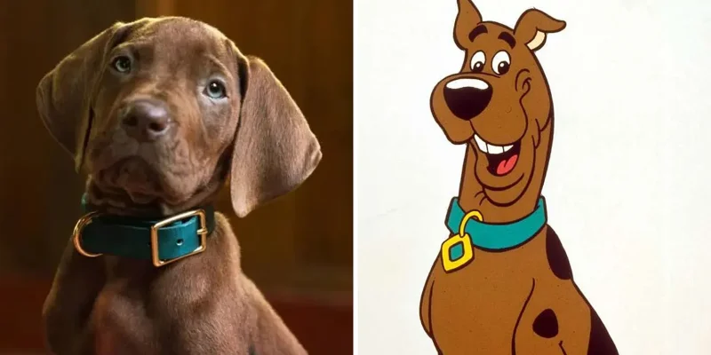 🐾 Scooby-Doo revient en live-action sur Netflix : une première bande-annonce dévoile les origines du célèbre gang !