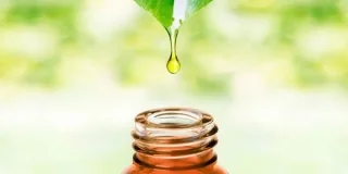 Phytothérapie - Tout savoir sur la Phytotherapie - Doctissimo