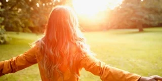 Un automne en pleine forme